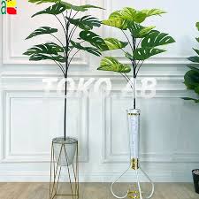 Tanaman Indoor Indah estetik