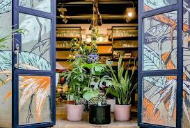 galeri tanaman indoor